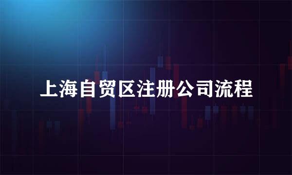上海自贸区注册公司流程