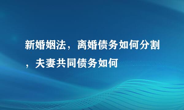 新婚姻法，离婚债务如何分割，夫妻共同债务如何