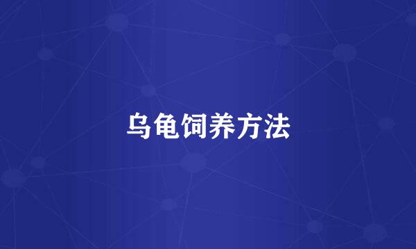 乌龟饲养方法