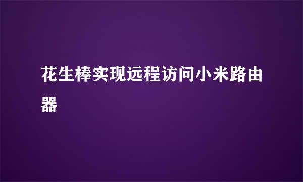 花生棒实现远程访问小米路由器