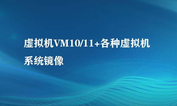 虚拟机VM10/11+各种虚拟机系统镜像