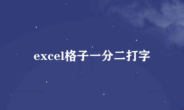 excel格子一分二打字