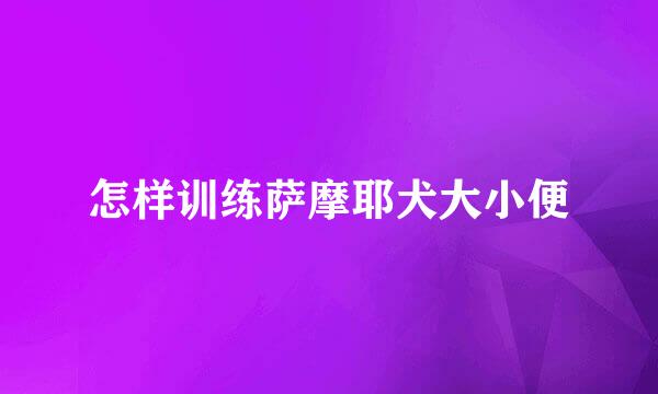 怎样训练萨摩耶犬大小便