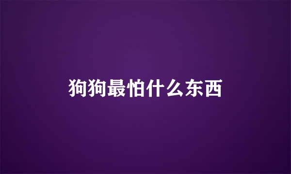 狗狗最怕什么东西