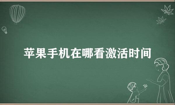 苹果手机在哪看激活时间