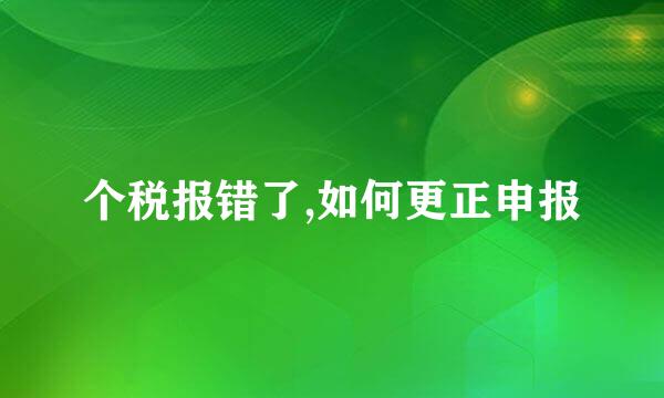 个税报错了,如何更正申报