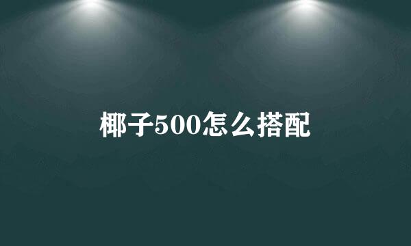 椰子500怎么搭配
