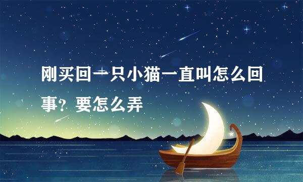 刚买回一只小猫一直叫怎么回事？要怎么弄