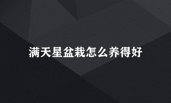 满天星盆栽怎么养得好