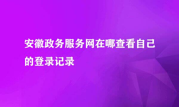 安徽政务服务网在哪查看自己的登录记录
