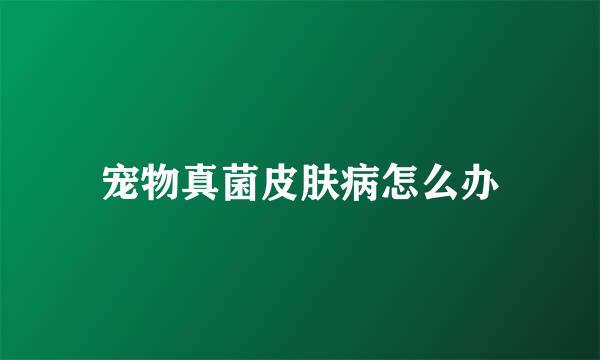 宠物真菌皮肤病怎么办