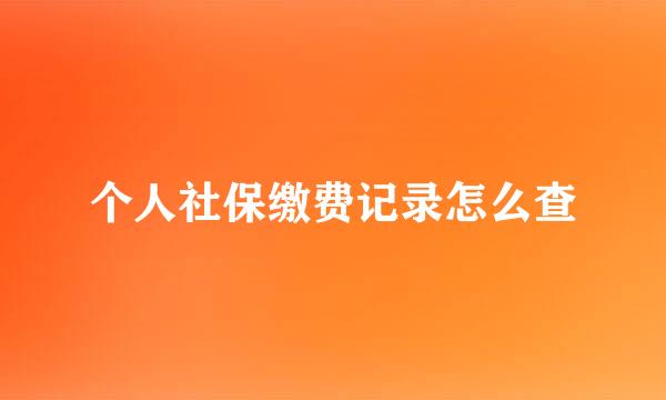 个人社保缴费记录怎么查