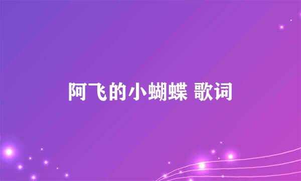 阿飞的小蝴蝶 歌词