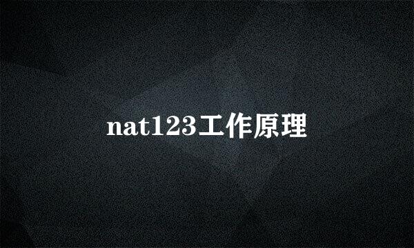 nat123工作原理