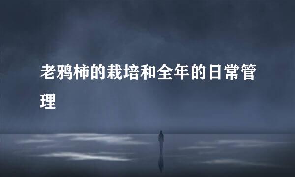 老鸦柿的栽培和全年的日常管理
