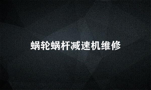 蜗轮蜗杆减速机维修