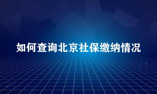 如何查询北京社保缴纳情况