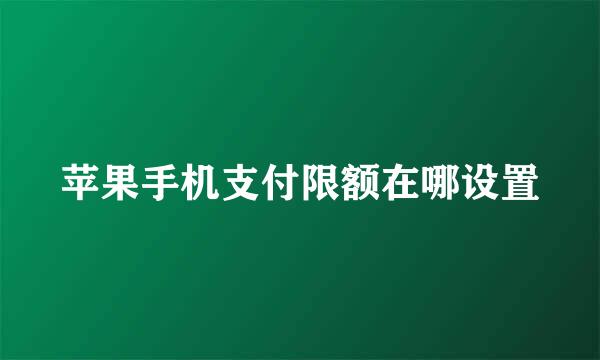 苹果手机支付限额在哪设置