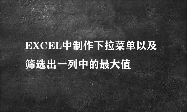 EXCEL中制作下拉菜单以及筛选出一列中的最大值