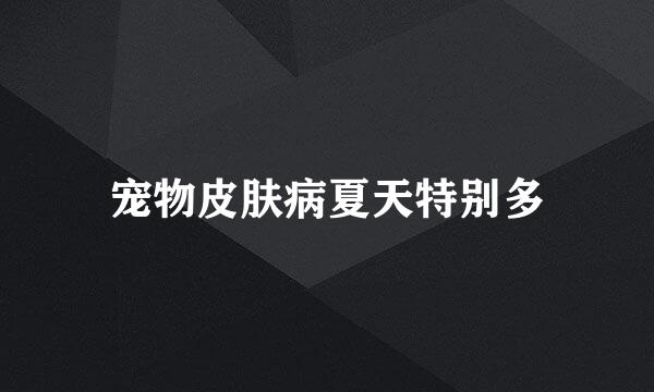 宠物皮肤病夏天特别多