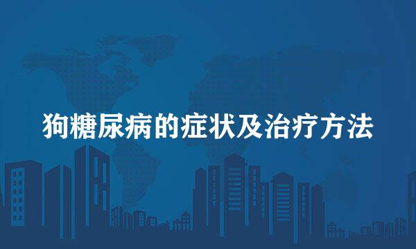 狗糖尿病的症状及治疗方法