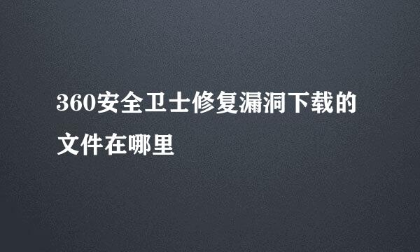 360安全卫士修复漏洞下载的文件在哪里