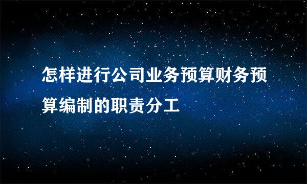 怎样进行公司业务预算财务预算编制的职责分工