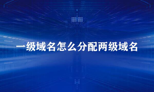 一级域名怎么分配两级域名