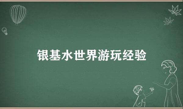 银基水世界游玩经验