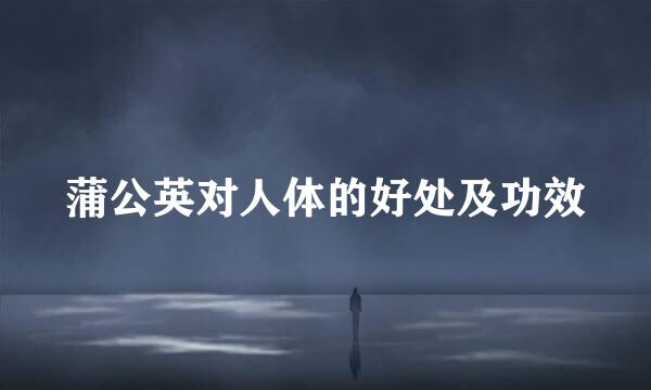 蒲公英对人体的好处及功效