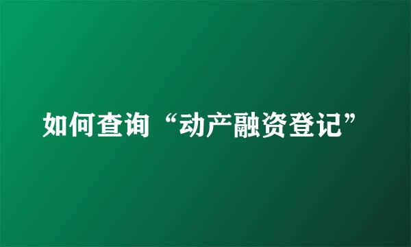 如何查询“动产融资登记”
