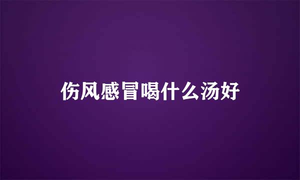 伤风感冒喝什么汤好