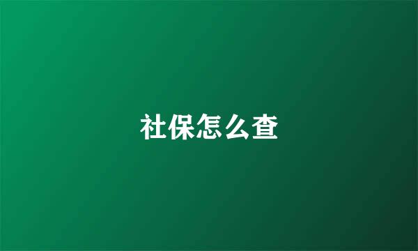 社保怎么查