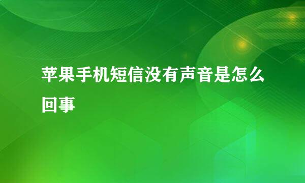 苹果手机短信没有声音是怎么回事