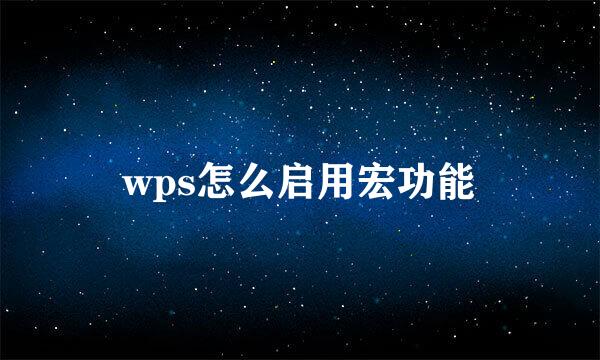 wps怎么启用宏功能