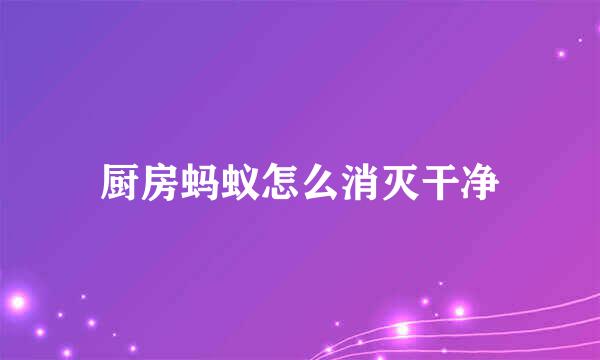 厨房蚂蚁怎么消灭干净