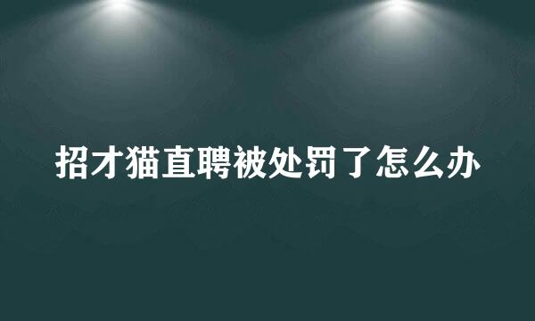 招才猫直聘被处罚了怎么办