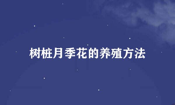 树桩月季花的养殖方法