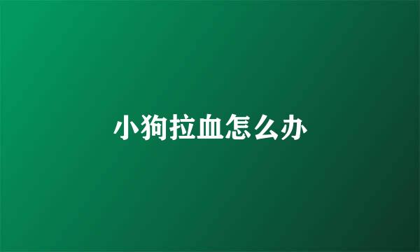 小狗拉血怎么办