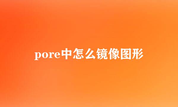 pore中怎么镜像图形
