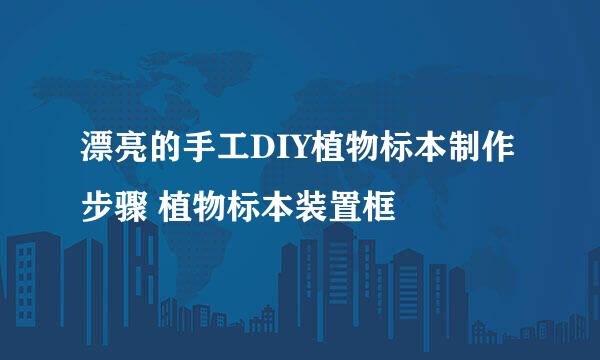 漂亮的手工DIY植物标本制作步骤 植物标本装置框