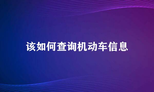 该如何查询机动车信息