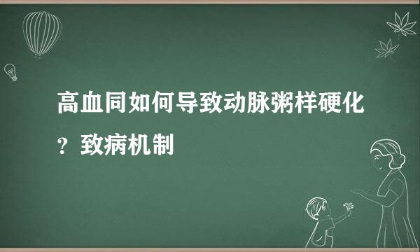 高血同如何导致动脉粥样硬化？致病机制
