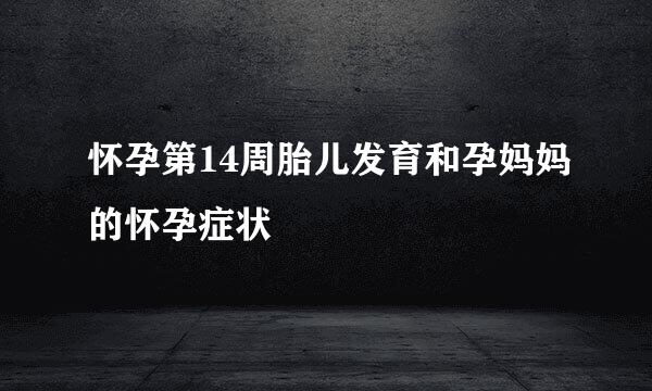 怀孕第14周胎儿发育和孕妈妈的怀孕症状