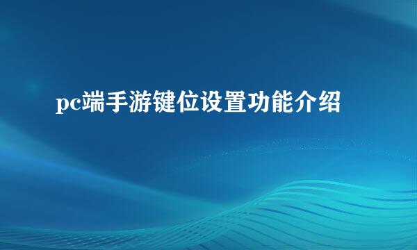 pc端手游键位设置功能介绍