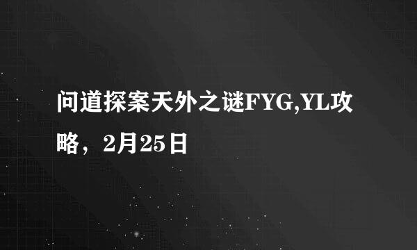 问道探案天外之谜FYG,YL攻略，2月25日