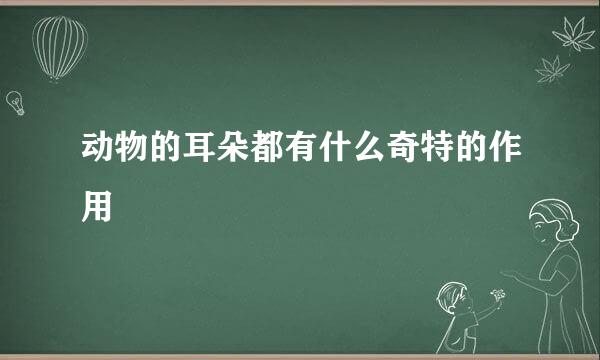 动物的耳朵都有什么奇特的作用