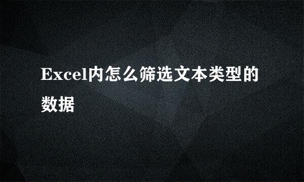 Excel内怎么筛选文本类型的数据