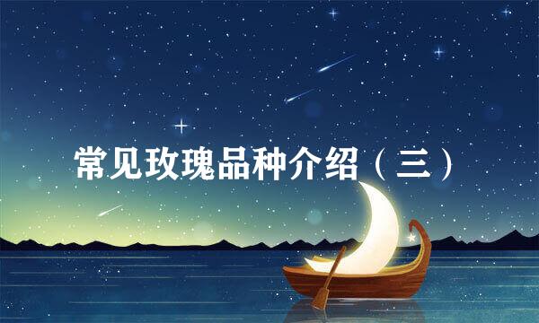 常见玫瑰品种介绍（三）