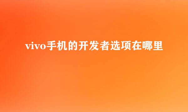 vivo手机的开发者选项在哪里
